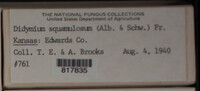 Image Associated With the Occurence